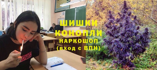 спайс Бородино