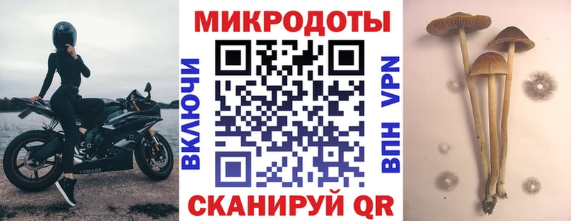 Псилоцибиновые грибы Psilocybe  Рыбинск 